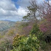 山登ってましたー！