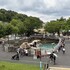 動植物園ウォーク（2026年6月）