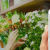 Unlock the Potential Of Uber Flower Delivery App