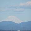 浜松からの富士山　もう真っ白です