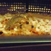 またもコリパンが逝く