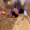 あたまと心をそっと休ませる時間
