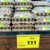 【2025年最新】タイの玉子の値段