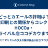 どっとカエールの評判は？竹田印刷との関係からコレクト・HOCOa・ライバル店ココデカウまで徹底解説！