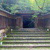 京都寺社めぐり⑦〜瑠璃光院 2022.7.15