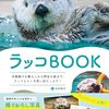 【書籍】木村悦子『ラッコBOOK』2024年7月8日発売！