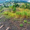 炭鉱の町・夕張でズリ山登山！「清水沢ズリ山」に登ろう！【北海道】