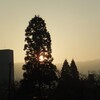 朝　出勤と同時に朝日が射します！伊那谷の朝です。