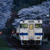 2025/04/04 満開の桜とキハ40@嘉例川駅