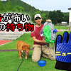 VLOG 空き缶が怖い愛犬の持ち物（と、抜け毛取りグローブ）