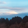 今朝の景色