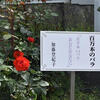 季節感のある暮らし～四季の花木