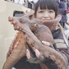 ラストマダコ 🐙