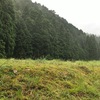 降り続く雨