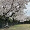 江波皿山に登って江波線で輪行