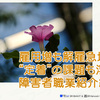 障害者雇用、実は「増えてるけど、続かない」？統計から見える課題