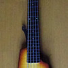  Steinberger XS-15FPA Fretless