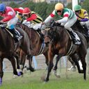 JRA競馬予想情報ブログ【無料】予想・結果・払い戻し情報｜中山・東京・阪神・中京・京都　etc・・・