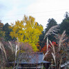 上弓削・中道寺