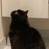 琵琶湖マラソンの目標