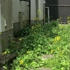出る杭は