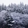 Mon.　里山の雪