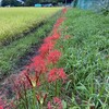 悔い改めを考える（１）生き方の転換