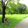 神無（しんなし）公園へ寄り道