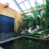 【別府市】陽だまり温泉 花の湯～花と緑の華やかな貸切風呂！再び！