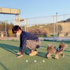 2020.12.16 【久しぶりのドライブ】 愛犬を連れて密を避けたドライブ　Uno1ワン チャンネル宇野樹より