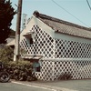 希望の轍