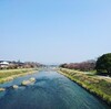 日曜日、晴れ。