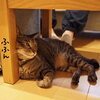 オヤジに使われる。