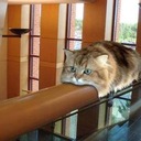 メロンパンは美味しい(仮)