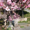 芳名板を掲げる場所を作っていただきました