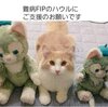 難病のハウルくんを応援するプロジェクト5