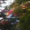 世界遺産日光山内の「二社一寺」の紅葉を撮る～後編～