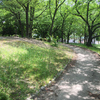 実走！名古屋RUNコース vol.85「五町公園（西区）」。
