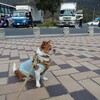 ２０１４正月帰省 昼食は大村湾を望み編