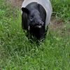 多摩動物公園～雨の日も良いゾ！～