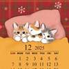 12月のはじまり〜。。。