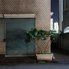 夜の住宅街の植物