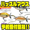 【ガウラクラフト】ネズミ型シングルスイッシャー「ハッスルマウス」通販予約受付開始！