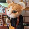 京都大原の猫のカフェ（猫カフェではない）　（８　２９）