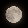 今宵のハンターズムーンはスーパームーン