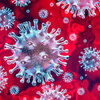 【ハワイ】カウアイ島で新型コロナウイルスのクラスターを発見