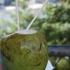 ●ニテロイ海外で「ココナッツミルク」と私の見たリオデジャネイロ