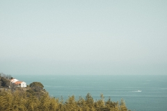 明るい孤独をたずさえて、暮らしのかたちをたしかめる。海へとつづく真鶴の日々。｜文・のもとしゅうへい（作家）