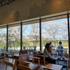 Starbucks sanda/新三田