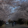 古瀬スポーツ公園　散歩